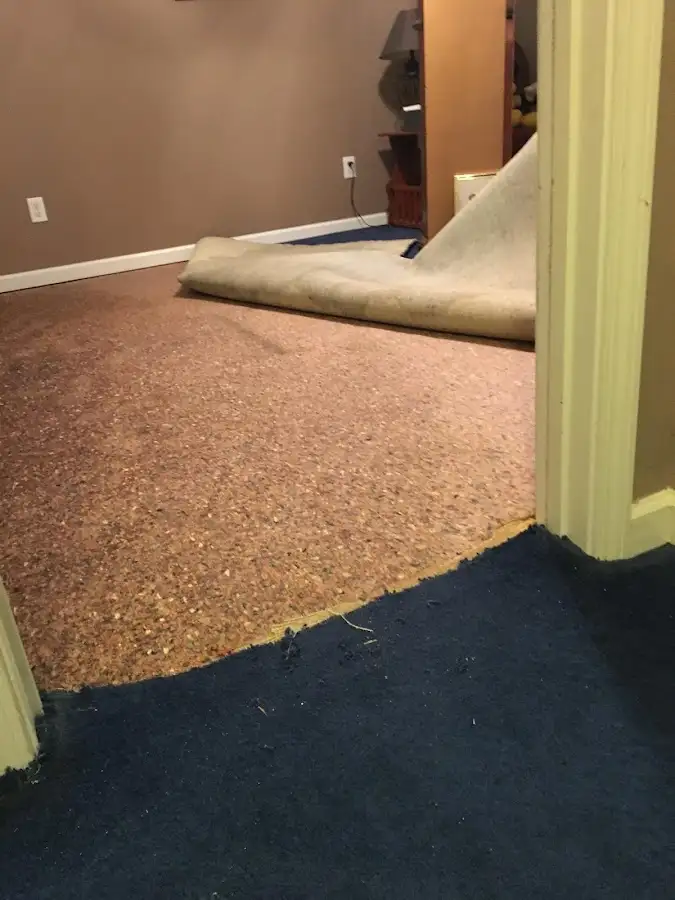 Carpet pad removal revealing water damage during Drying & Dehumidification in Belmont