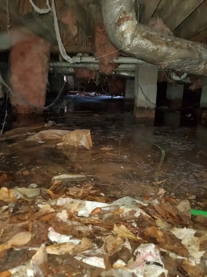 Crawl space flood assessment for Leak Detection & Repair in Belmont