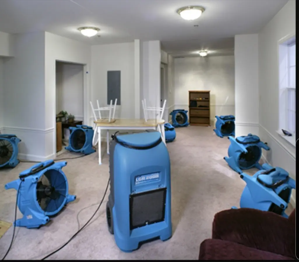 Air movers and dehumidifier setup for Water Extraction & Removal in Belmont